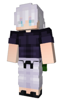 Minecraft skin todorokity