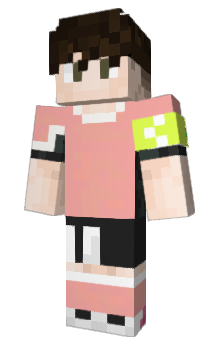 Minecraft skin Nicolapo