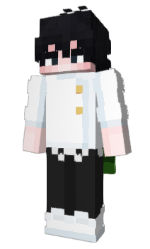 Minecraft skin KnightCape