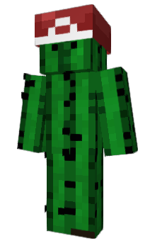 Minecraft скін по ніку Micag