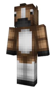 Minecraft skin codeen
