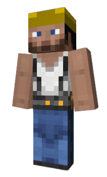 Minecraft skin raitse