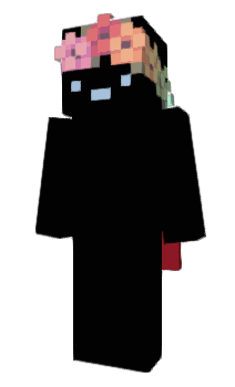 Minecraft skin Deduce