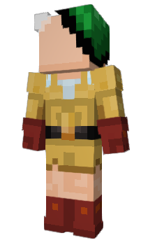 Minecraft skin SDWaS