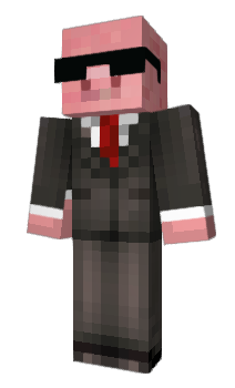 Minecraft skin ninjabox