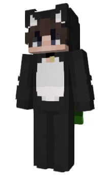 Minecraft скин по нику BProject