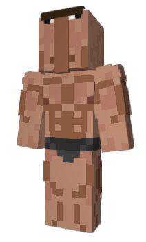 Minecraft скин по нику NewChunk