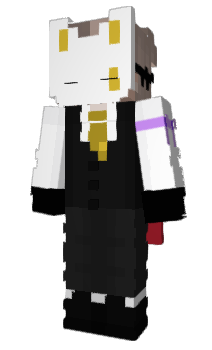 Minecraft skin Opna