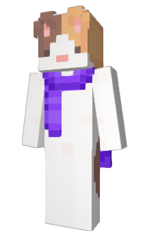 Minecraft skin JankMemes