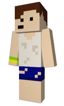 Minecraft skin ErieLake