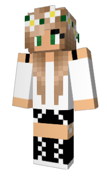 Minecraft skin invixible