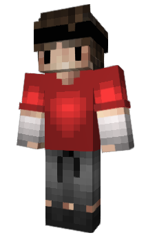 Red hoodie Minecraft Skins