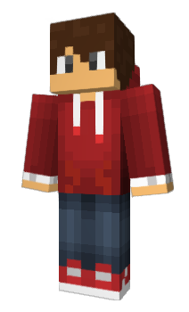 Minecraft skin 10221