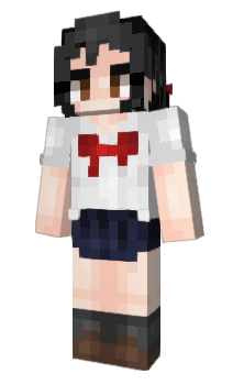 Minecraft skin RCzx