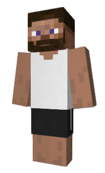 Minecraft skin Dogeball