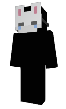 Minecraft skin Payoneer