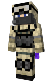 Minecraft skin Systeme_