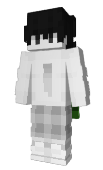 Minecraft skin 21263