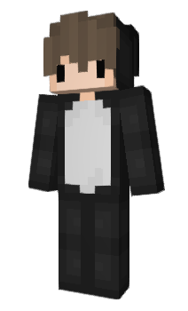 Minecraft skin Rayji