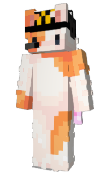 Minecraft skin The1stbenji