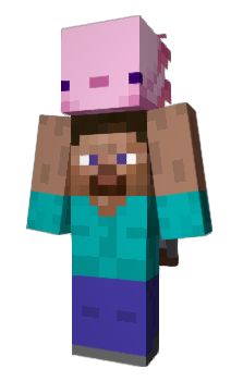 Minecraft skin GLTI