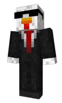 Minecraft skin HeyChickens