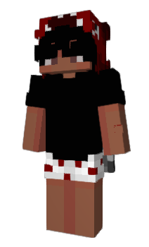 Minecraft skin LZTK