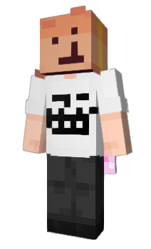 Minecraft skin sheec