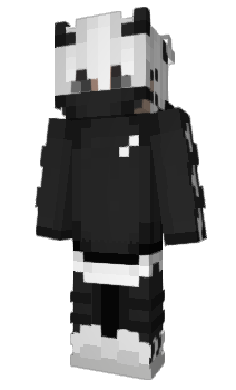 Minecraft skin rgbgo