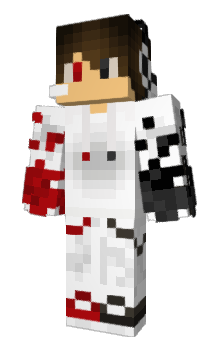 Minecraft skin Toxicgamer901