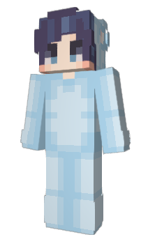 Minecraft skin Pakistans