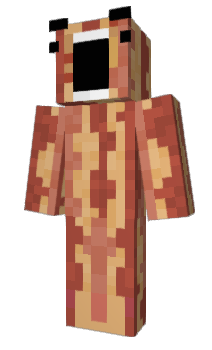 Minecraft skin Robbio