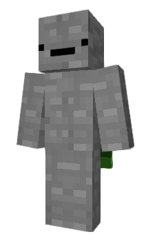 Minecraft skin lntact