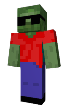 Minecraft skin PixelZB