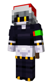 Minecraft skin nse1234