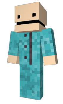 Minecraft skin Ikeasons