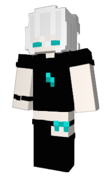 Minecraft skin XSTW