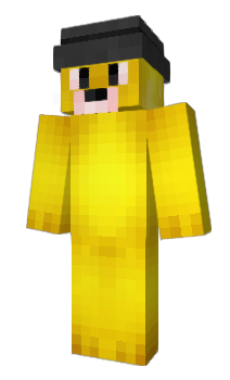 Minecraft skin Z1I