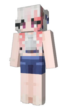 Minecraft skin eviech