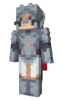Minecraft skin 2blok
