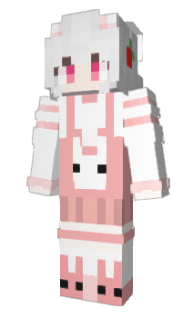 Minecraft skin USA2