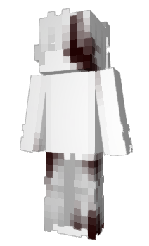 Minecraft skin phooto