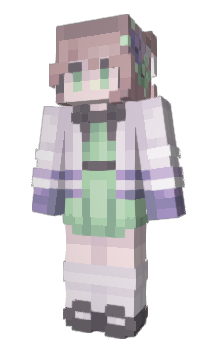 Minecraft skin presidentEV