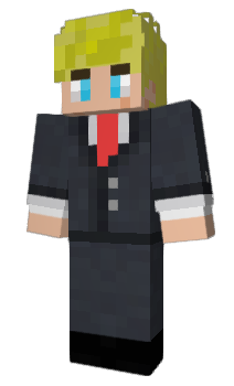 Minecraft скін по ніку literallyanythin