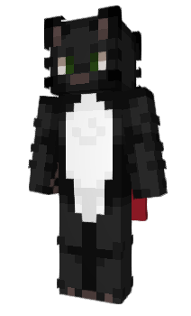 Minecraft skin _Nata