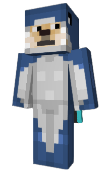 Minecraft skin xecx111