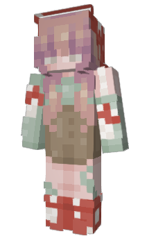 Minecraft skin Netdacacc