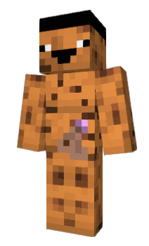 Minecraft skin PUNG12