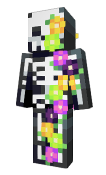 Minecraft skin downgrade