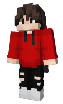 Minecraft скин по нику NicoCraftTY